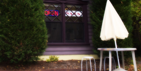 Sunny's Gallery