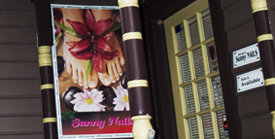 Sunny's Gallery